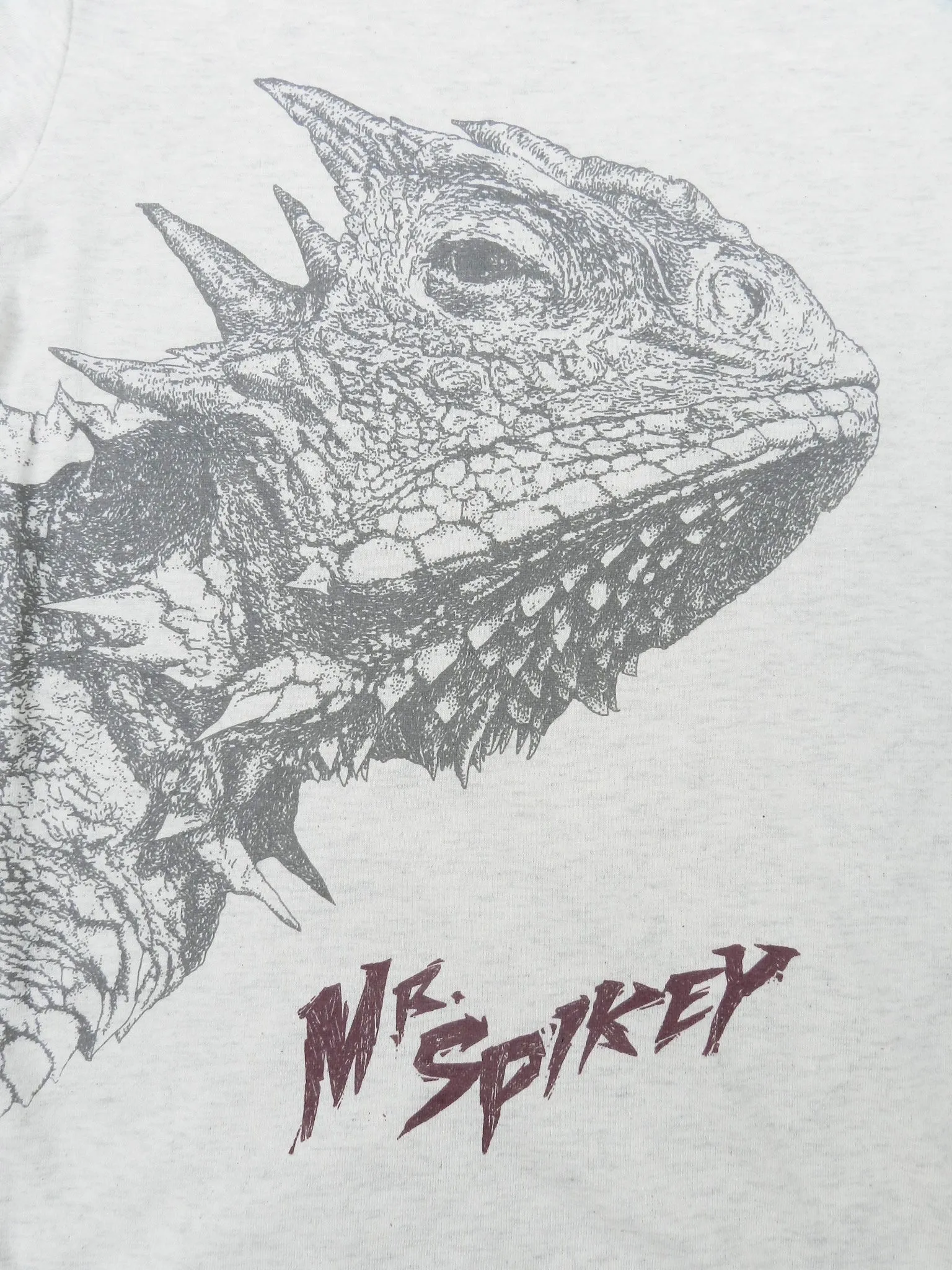 LIZARD - Mr Spikey