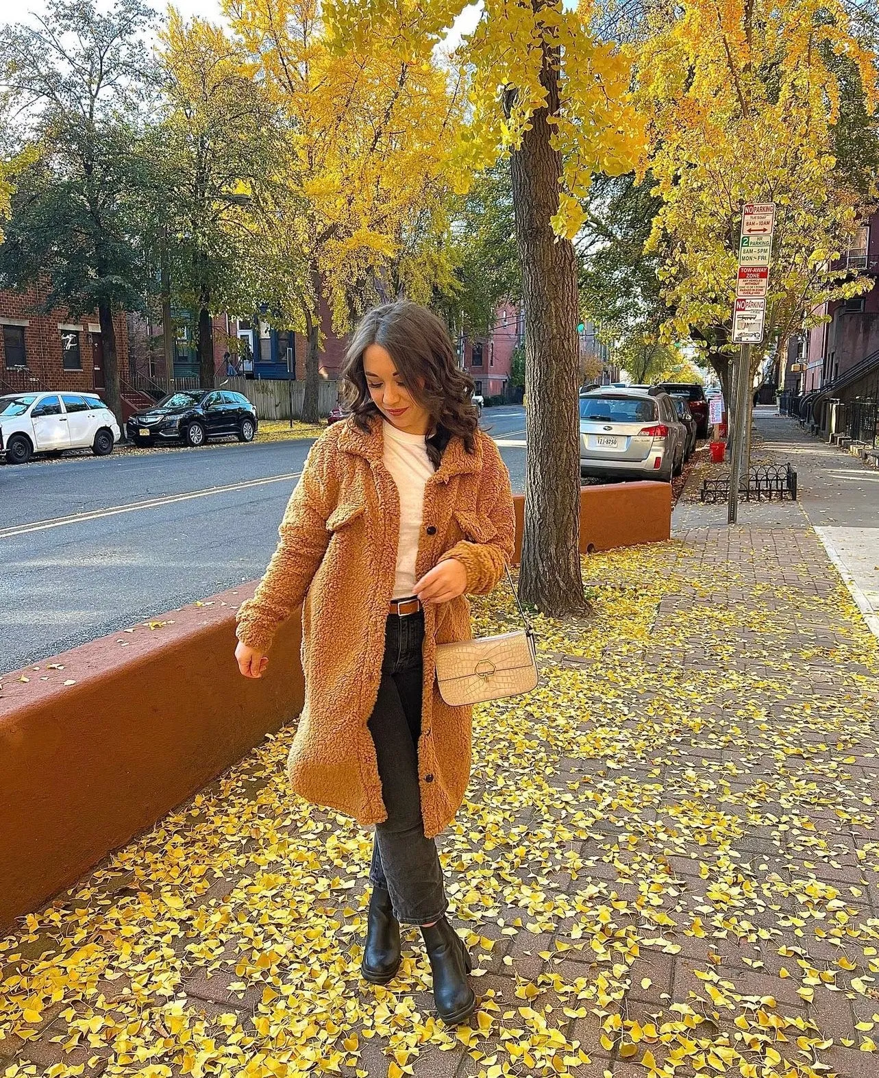 Tina - Sherpa Teddy Coat